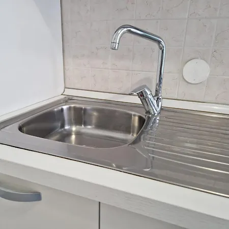 Elba2 *